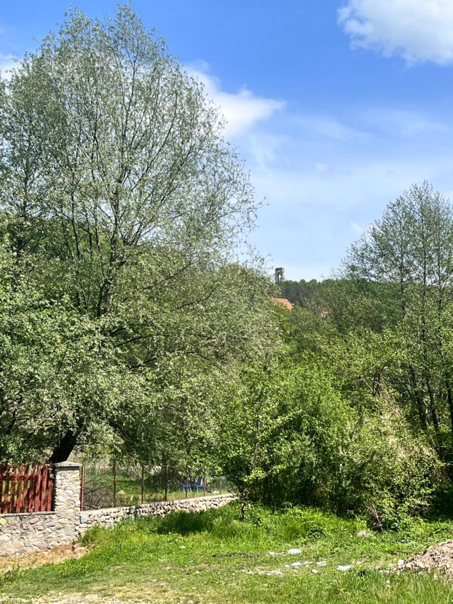 La Gradina Hotel Mehadija Exterior foto